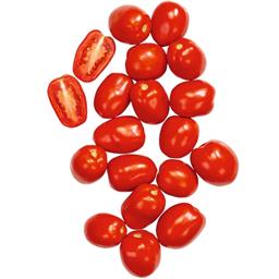 Pomidor gruntowy Lima