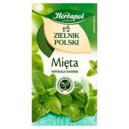 Zielnik Polski Herbatka ziołowa mięta 40 g (20 x 2 g...