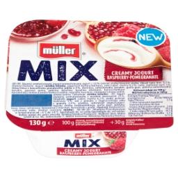 Mix Jogurt z wsadem owocowym 130 g