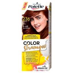 Color Shampoo Szampon koloryzujący kasztan 4-68