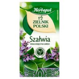 Zielnik Polski Herbatka ziołowa szałwia 24 g (20 x 1,2 g)