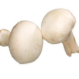 Cogumelos Granel