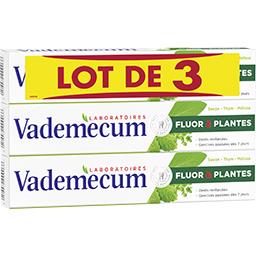 Vademecum Vademecum Dentifrice Fluor & Plantes thym sauge mélisse le lot de 3 tubes de 75 ml
