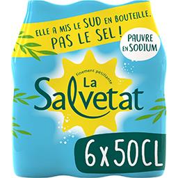Salvetat Salvetat Eau minérale naturelle gazeuse les 6 bouteilles de 50 cl