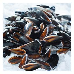 Moules Bouchot Votre Poissonnier A Selectionne Intermarche