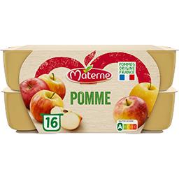 Materne Materne Compote de pomme les 16 pots de 100g - 1,6kg