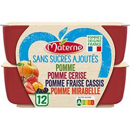 Materne Materne Sans Sucres Ajoutés - Assortiment de spécialité pomme/fraise cassis/mirabelle les 12 pots de 100g - 1,2kg