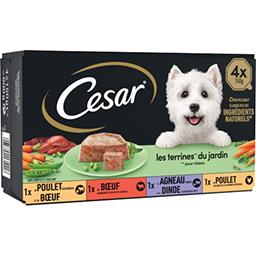 Cesar César Les Recettes de Campagne - Terrines traiteur pour chiens les 4 barquettes de 150g - 600g