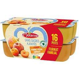 Materne Materne Compote pomme pêche sans sucres ajoutés - Format familial les 16 pots de 100g - 1,6kg