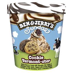 Ben & Jerry's Ben & Jerry's Glace Sundae Cookie Vermont-ster le pot de 324g