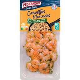 Pescanova Pescanova Crevettes décortiquées cuisinées poivrons grillés et basilic la barquette du 200 g