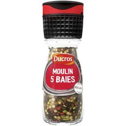 Ducros Ducros Moulin 5 baies doux le flacon de  26g