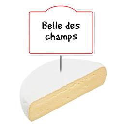 Fromage Au Lait Pasteurise 25 De Mg Belle Des Champs Intermarche