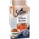 Sheba Délices du Jour aux viandes pour chats les 6 sachets de 50 g
