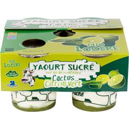 Yaourt sucré sur lit Cactus/Citron vert