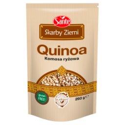 Skarby Ziemi Quinoa komosa ryżowa 250 g
