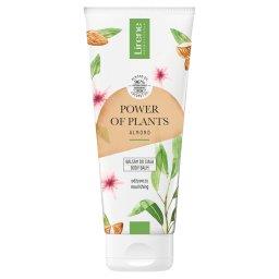 Power of Plants Almond Balsam do ciała 200 ml