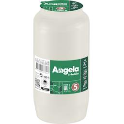 Wkład Angela z olejem RSPO RC5 100 h