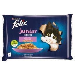 Fantastic Junior Karma dla kociąt wybór smaków w galaretce 340 g (4 x 85 g)