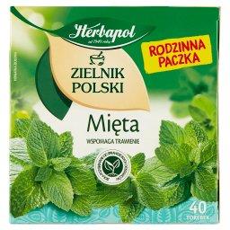 Zielnik Polski Herbatka ziołowa mięta 80 g (40 x 2 g)