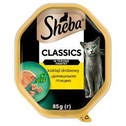 Classics Mokra karma dla dorosłych kotów w terynie k...