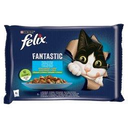 Fantastic Karma dla kotów wybór smaków w galaretce 340 g (4 x 85 g)