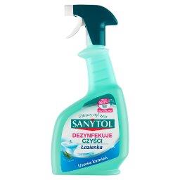 Produkt dezynfekujący i czyszczący łazienka zapach e...