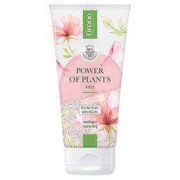 Power of Plants Rose Peeling myjący 175 g