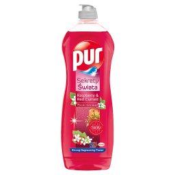 Sekrety Świata Raspberry & Red Currant Płyn do mycia naczyń 750 ml