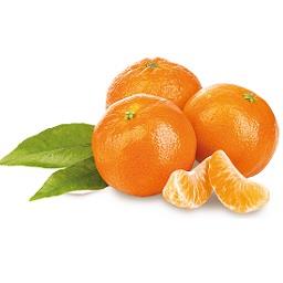 Clementinas