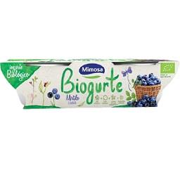 Iogurte batido com mirtilos e cassis, biológico