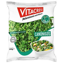 Canónigos