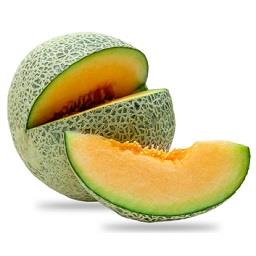Meloa Cantalupe Bio | Categoria: II