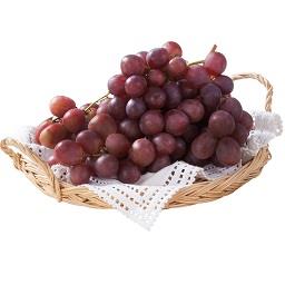 Uva Red Globe