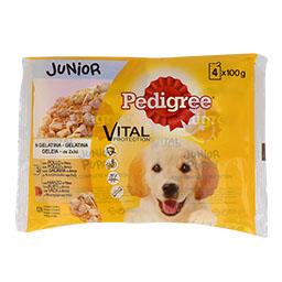 Alimento húmido cão gelatina júnior