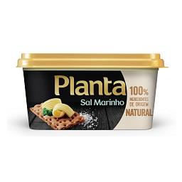 Planta sal marinho