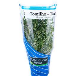 Aromáticas vivas em vaso