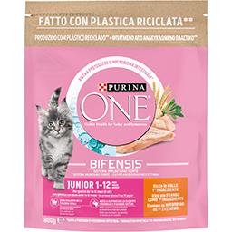 Ração para gato júnior frango