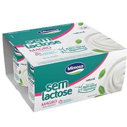 Iogurte natural magro sem lactose