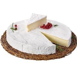 Queijo Brie 60%