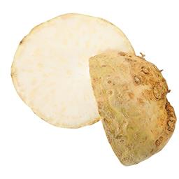 Cabeça de Aipo