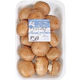 Cogumelo Portobello Pequeno