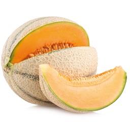 Meloa Canteloupe